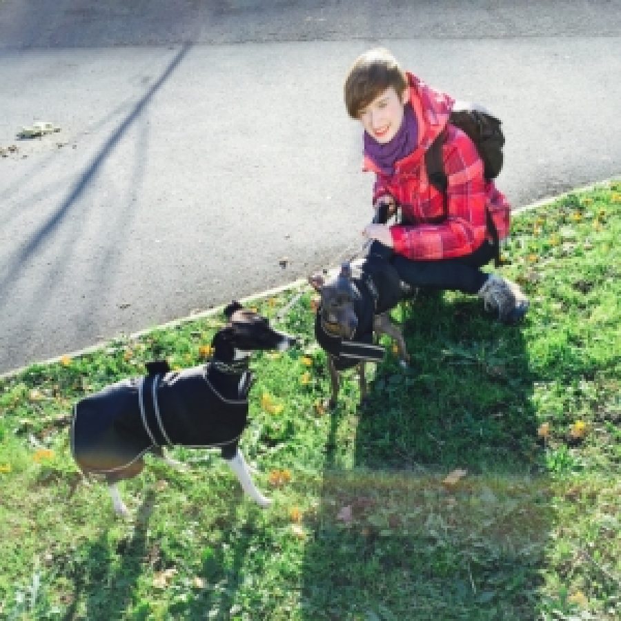 Seth and Violet (both Italian Greyhounds)